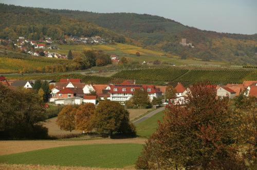 Landhotel Hauer Pleisweiler-Oberhofen Eksteriør billede